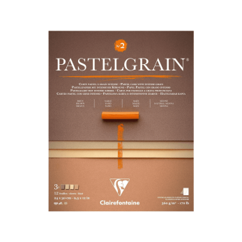 Блок бумаги для пастели "PastelGrain" 4 оттенка, 24х30см, 360 г, 12 листов, №2