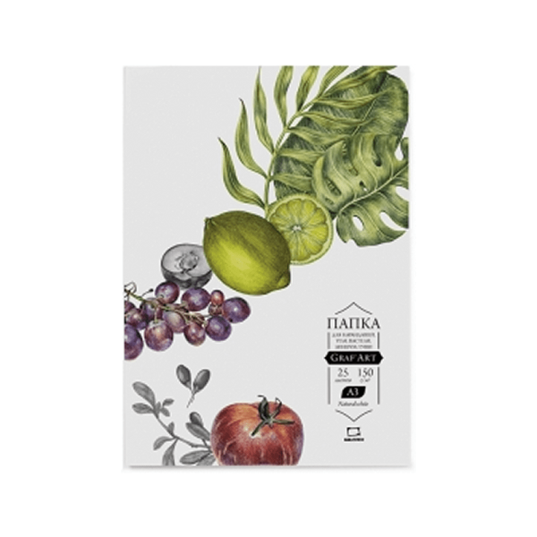 Блок бумаги для сухих техник "GrafArt", А4, 150 г/м2, 25 листов