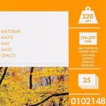 Фотобумага матовая для струйной фотопечати "Lomond", А4, 25 листов, 220 г/м2